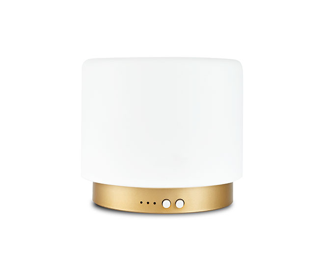 M5ST Buba-Color Luxury Art Metal Ultrasonic Diffuser With Light