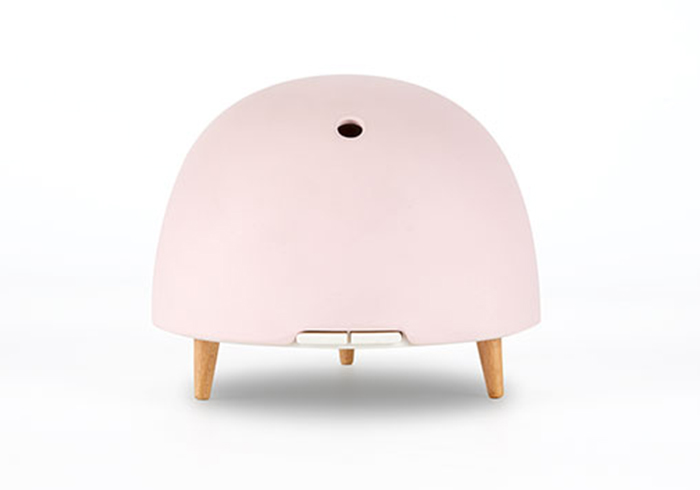 Eco Friendly Diffuser