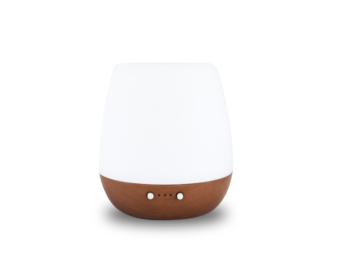 MONA Ultrasonic Diffuser prices
