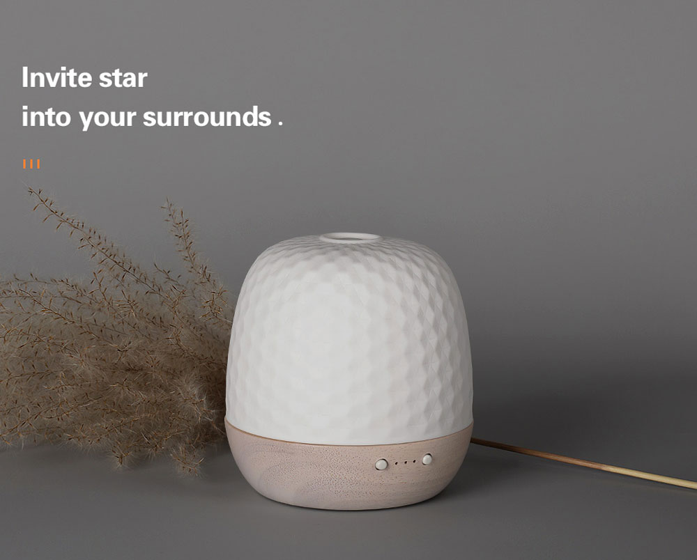 brevi stone diffuser doterra