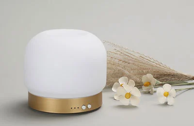 Benefits of Daily Use of a Light Aroma Diffuser