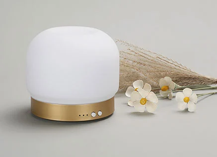 What Is the Best Aroma Diffuser for Large Rooms?